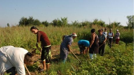Роми до премиера: Не щем помощи, искаме работа!