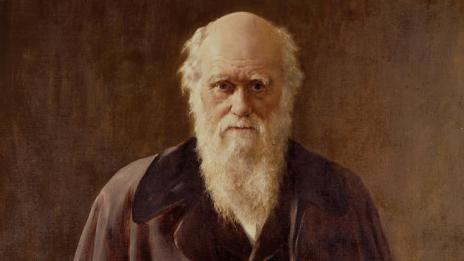 12 февруари - Денят на Дарвин, Денят на еволюцията