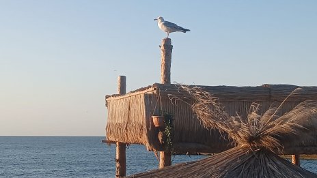 Слънчево време над по-голямата част от страната днес