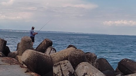 Кои са най-стресираните риби в Черно море?