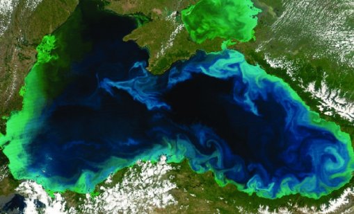 Oтбелязваме Международния ден на Черно море