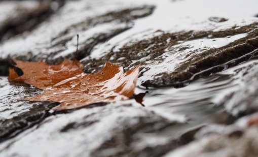Времето във Варна днес: Ще има чести превалявания от дъжд 