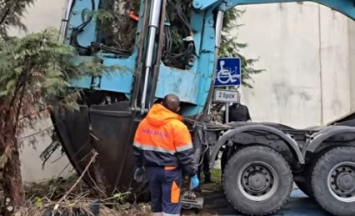 С грижа за природата: Преместиха три дървета в крайбрежната зона на Варна (ВИДЕО)