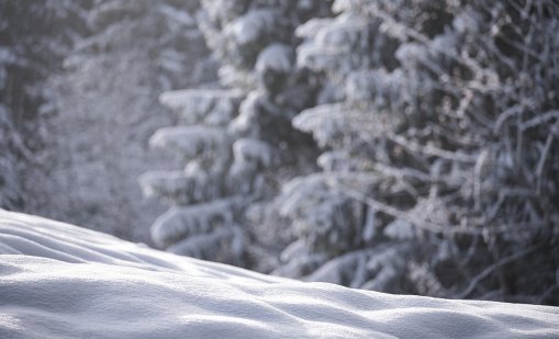 Зимата, каквато я познаваме, изчезва: До края на XXI век Централна и Южна Европа може да останат почти без сняг