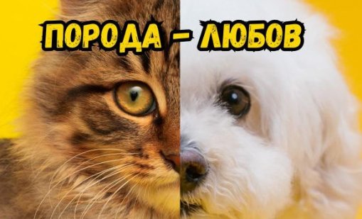 Фестивално изложение “Порода - Любов” се провежда във Варна