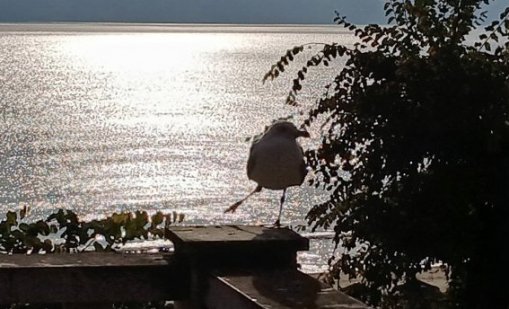 Какво ще бъде времето в събота?