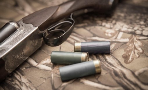 Трагедия в Пловдив: Бивш военен уби съпругата и внука си 