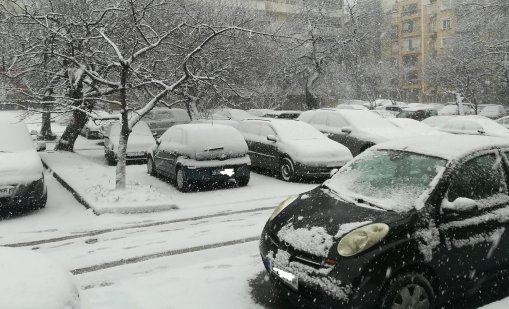 Климатолог обяви ще има ли сняг на Коледа и Нова година