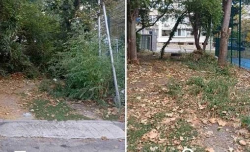 Почистват от сухи клони и издънкова растителност детските площадки в централната част на Варна