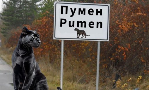 Народно творчество: Мистериозният хищник от Шумен подлуди мрежата