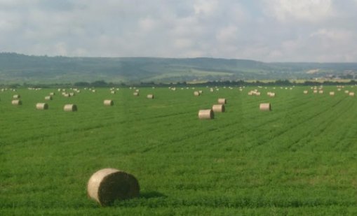 Европрокуратурата разследва далавери със селскостопански субсидии у нас