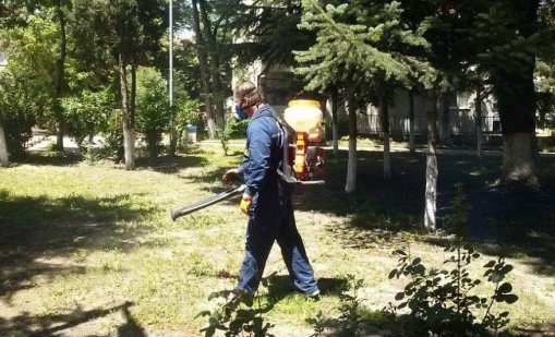Продължават обработките против вредители във Варна