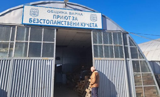 Търсят управител на кучкарника в Каменар
