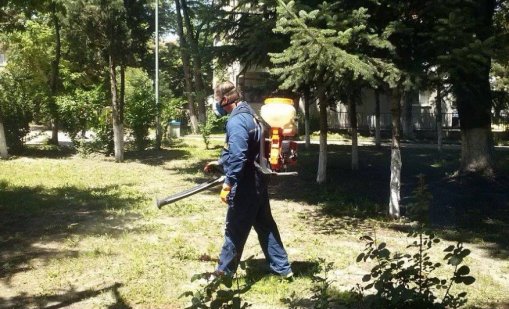 Продължава обработката срещу вредители във Варна