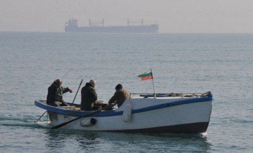 България въвежда постоянна забрана за улов на есетрови риби в река Дунав и Черно море 