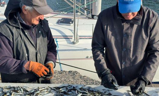 Трудна година изпращат варненските рибари 