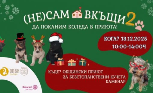 Днес приютът в Каменар организира коледна инициатива за осиновяване на кучета