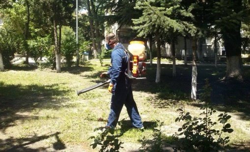 Продължава обработката срещу вредители във Варна