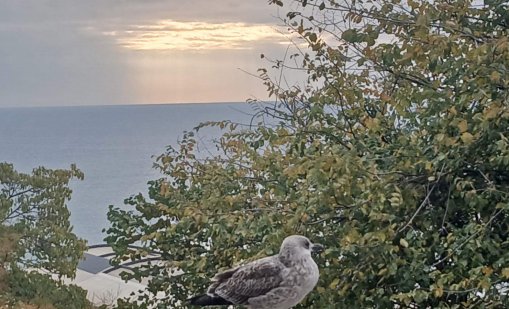 Слънчево, но студено време днес