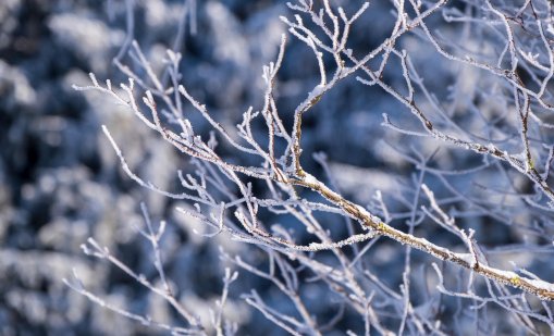 Прогнозата до края на 2025 г. - от 20° до минус 10°