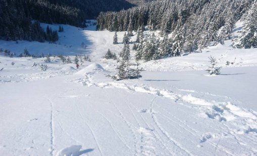 Лавина затрупа и уби петима алпинисти