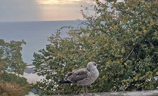 Предимно слънчево време в цялата страна днес
