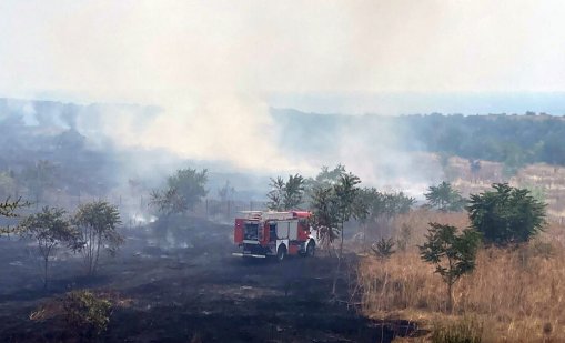 WWF: Повечето пожари започват от небрежност