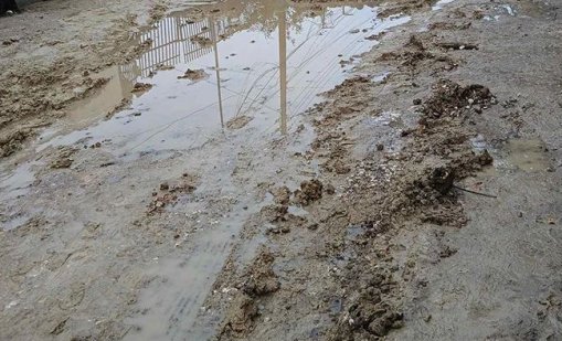 Варненци се възмущават: До нас се стига само с танк! 