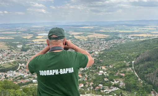 Черният леопард се появи отново в Шуменското плато