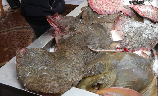 Спипаха мъж да превозва нелегално калкан край Варна