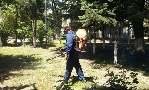 Започва есенно-зимната дератизация на подлези, канални шахти и дерета във Варна