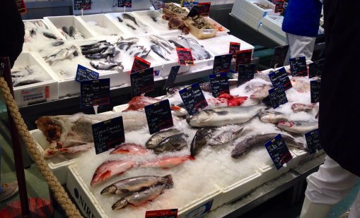 Започват масови проверки във Варна по рибни борси и магазини 