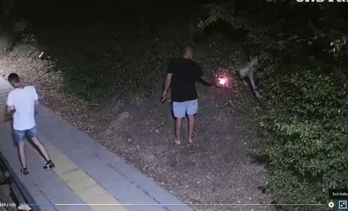 Пожарът във Велико Търново е запален умишлено (ВИДЕО)