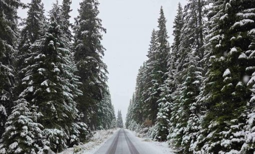 Ето кога ще дойде снегът в България 