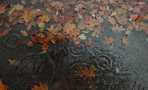 Утре дъждът се завръща