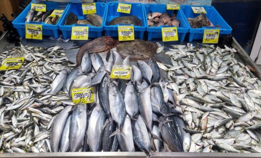 Ето какви са цените на рибата за Никулден във Варна
