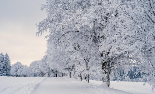 Зима 2025/2026 може да започне с по-изразен и блокиращ характер