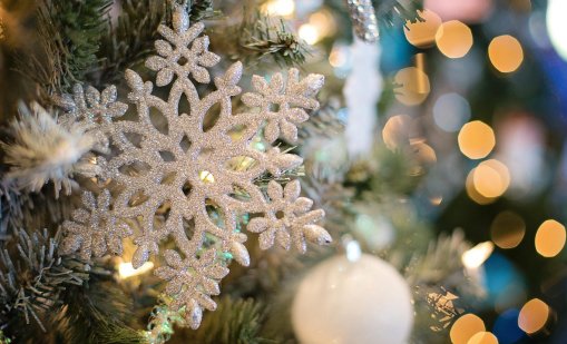 Кога да украсите коледната елха, за да привлечете просперитет или защита от проблеми? 