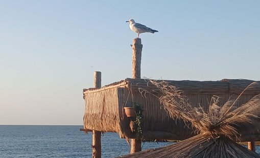 Слънчево време в цялата страна днес