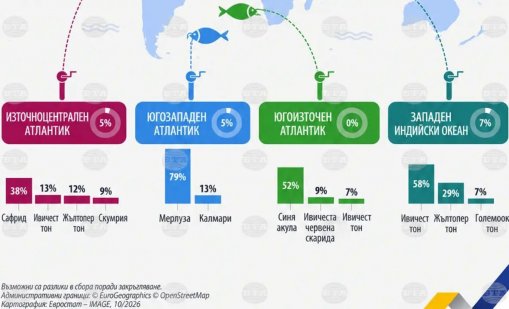 Черно и Средиземно море осигуряват 8% от улова на ЕС