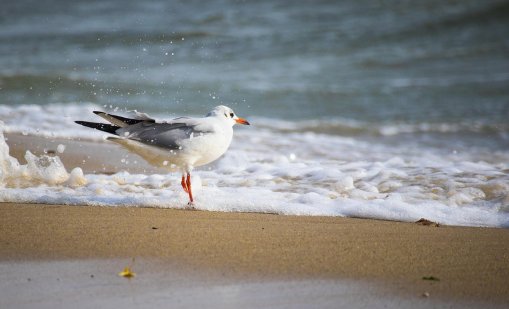 Времето днес във Варна: Предимно облачно, с температури до 13°