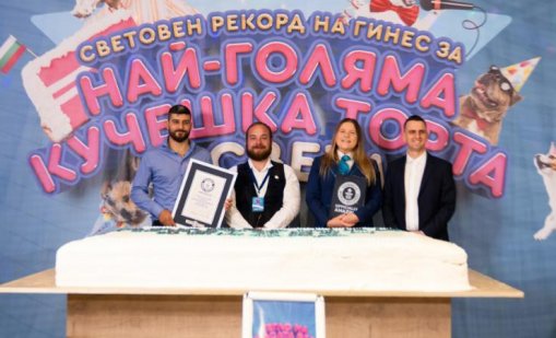България влезе в Гинес с рекорд за най-голямата кучешка торта в света