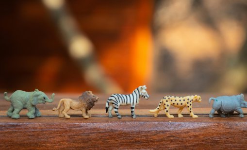 Инициатива за размяна на играчки във Варна