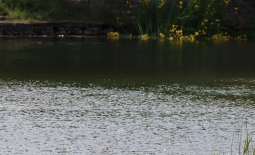 Областна управа-Варна ще извършва наблюдение на реките и деретата в региона с дрон