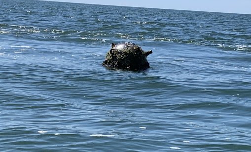 Забелязаха обект, наподобяващ&nbsp;морска мина край&nbsp;Емине