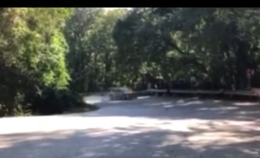 Спешна проверка в автомобилната федерация заради катастрофата във Варна