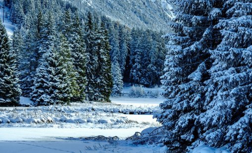 Ето кога настъпва астрономическата зима