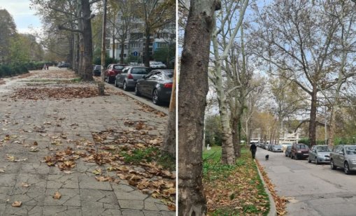 Без коли на тротоарите на ул. Чайка, изплашиха ги с фишове 