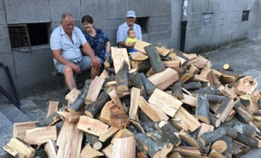 На прага на есента:  Ръст в търсенето на дърва за огрев