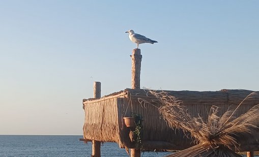 Какво ще бъде времето в петък?